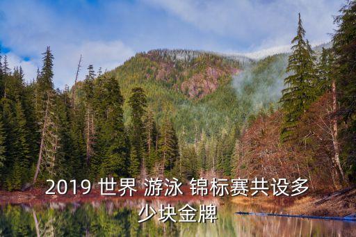 世界游泳錦標賽,國際泳聯世錦賽和世界游泳錦標賽有別嗎?