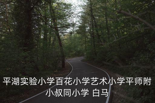 平湖實驗小學百花小學藝術小學平師附小叔同小學 白馬