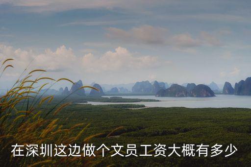 在深圳這邊做個文員工資大概有多少