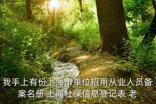 我手上有份上海市單位招用從業人員備案名冊 上海社保信息登記表 老