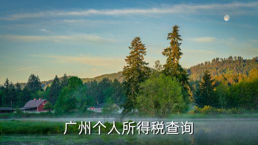 廣州個(gè)稅查詢系統(tǒng)，廣州個(gè)人所得稅查詢