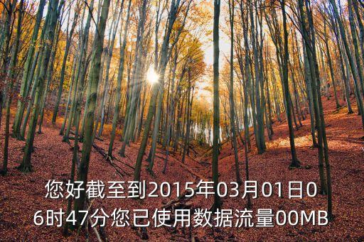 您好截至到2015年03月01日06時47分您已使用數據流量00MB