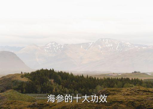  海參的十大功效