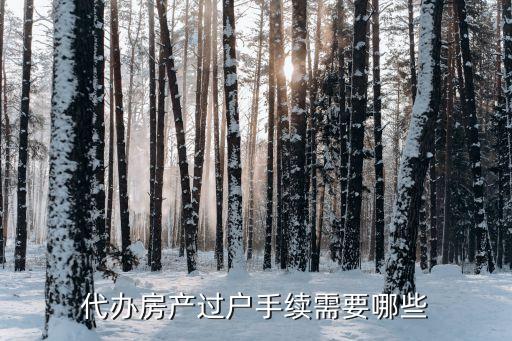 廣州房產代辦過戶手續，代辦過戶要走什么流程