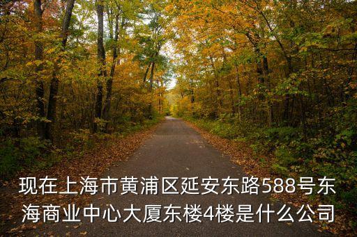 現(xiàn)在上海市黃浦區(qū)延安東路588號東海商業(yè)中心大廈東樓4樓是什么公司