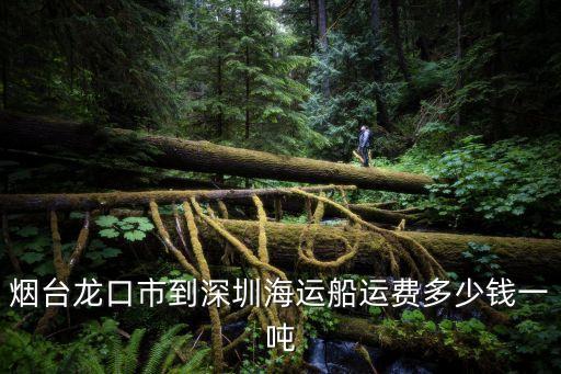 煙臺(tái)龍口市到深圳海運(yùn)船運(yùn)費(fèi)多少錢一噸