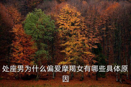 處座男為什么偏愛摩羯女有哪些具體原因