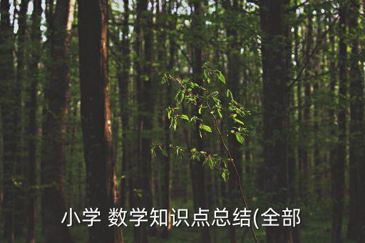 數(shù)學(xué)常識,數(shù)學(xué)知識梳理思維導(dǎo)圖
