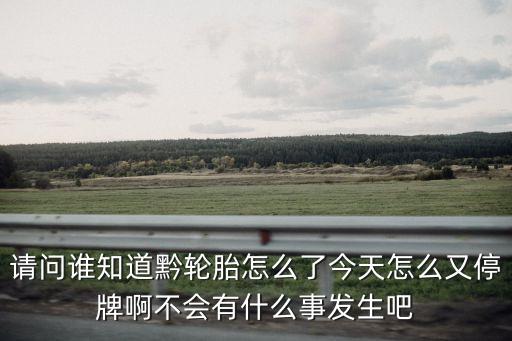請(qǐng)問(wèn)誰(shuí)知道黔輪胎怎么了今天怎么又停牌啊不會(huì)有什么事發(fā)生吧