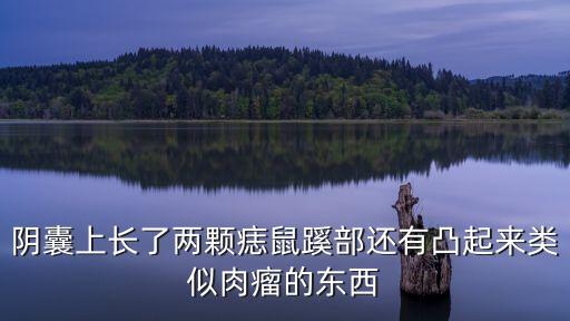 陰囊上長了兩顆痣鼠蹊部還有凸起來類似肉瘤的東西