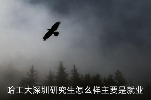 哈工大深圳研究生怎么樣主要是就業(yè)