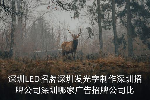 深圳LED招牌深圳發光字制作深圳招牌公司深圳哪家廣告招牌公司比