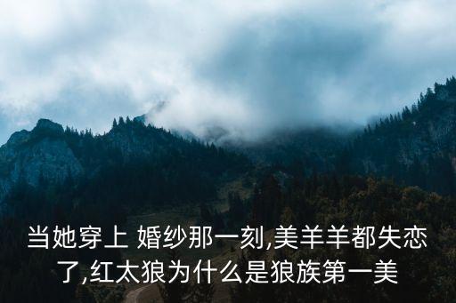動漫婚紗圖片,穿過婚紗的美麗女動漫角色最幸福