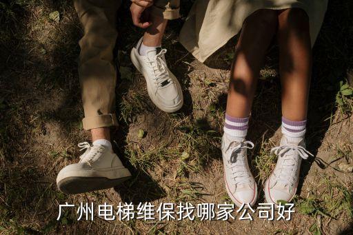 廣州電梯維保找哪家公司好