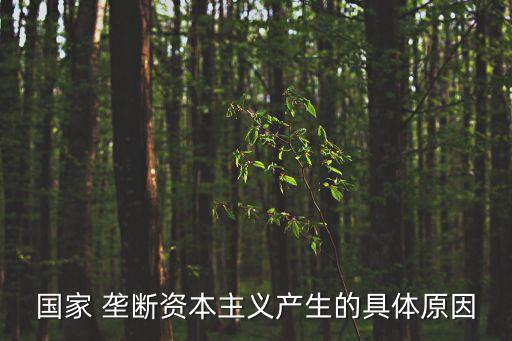 國家 壟斷資本主義產生的具體原因