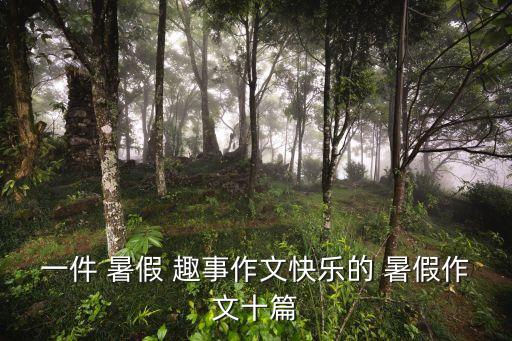 暑假趣事100字