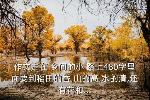 作文走在 鄉間的小 路上480字里面要到稻田的香,山的高,水的清,還有花和...