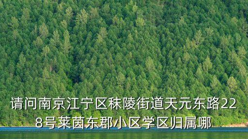 請(qǐng)問(wèn)南京江寧區(qū)秣陵街道天元東路228號(hào)萊茵東郡小區(qū)學(xué)區(qū)歸屬哪