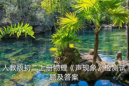 人教版初二上冊(cè)物理《聲現(xiàn)象》檢測(cè)試題及答案
