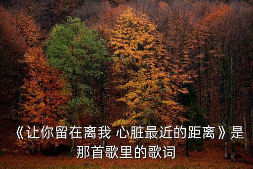 《讓你留在離我 心臟最近的距離》是那首歌里的歌詞