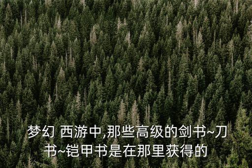 夢幻西游高級藏寶圖各地圖出書