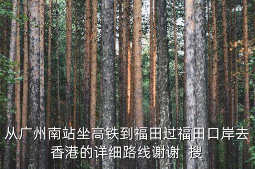 從廣州南站坐高鐵到福田過福田口岸去香港的詳細路線謝謝  搜