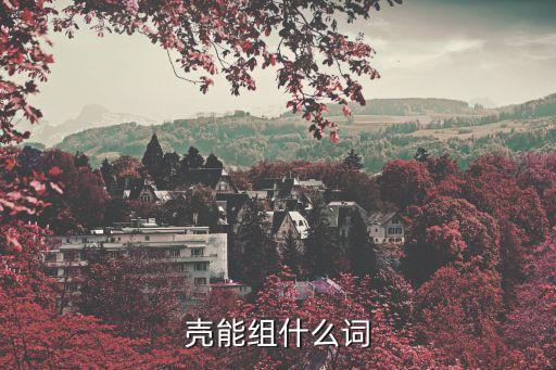 殼的多音字組詞,漂的多音字組詞