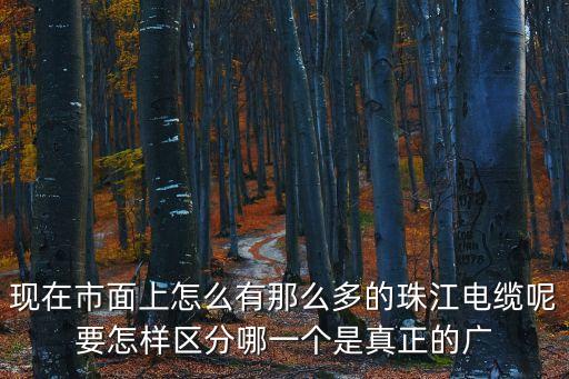 現在市面上怎么有那么多的珠江電纜呢要怎樣區分哪一個是真正的廣