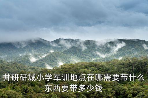 井研研城小學軍訓地點在哪需要帶什么東西要帶多少錢