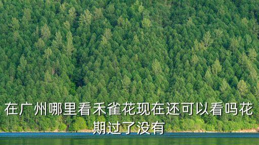 廣州清明節(jié)看花，廣州清明節(jié)還能去看油菜花嗎