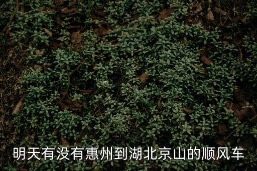 明天有沒有惠州到湖北京山的順風車