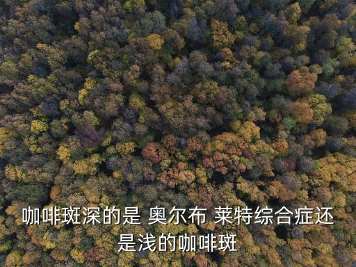 奧爾布萊特,馬德琳·奧爾布賴特