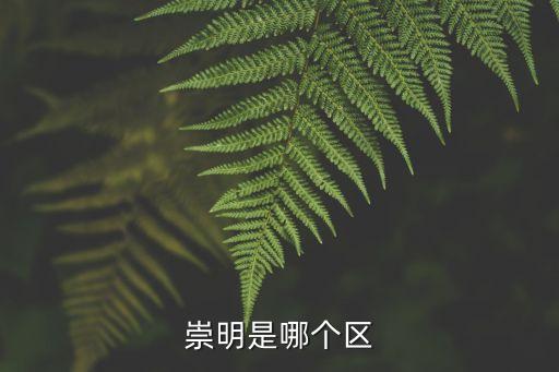 崇明是哪個區