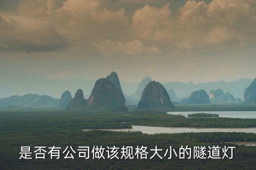 是否有公司做該規格大小的隧道燈