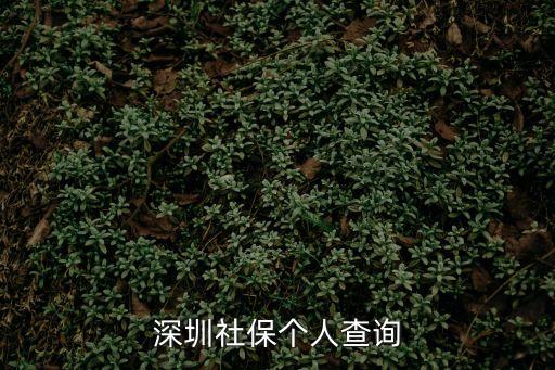 深圳社保個人查詢