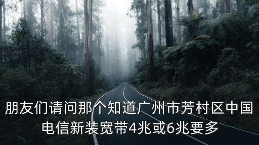 廣州芳村寬帶價格，請問 廣州芳村 東塱啦光纖多少錢包月 包年多少錢