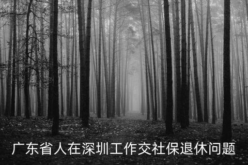 廣東省人在深圳工作交社保退休問題
