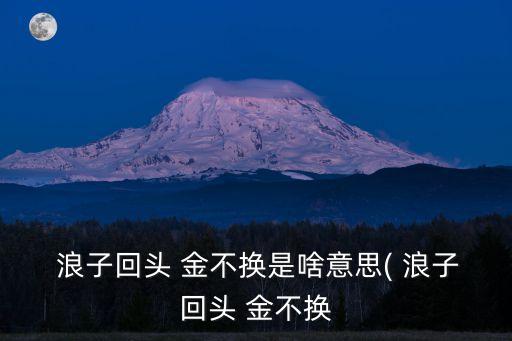 浪子回頭金不換是什么意思,好馬不吃回頭草浪子回頭金不換是什么意思