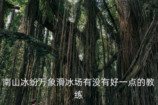 深圳冰紛萬象滑課程，深圳萬象城真冰溜冰場