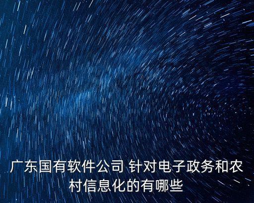 廣東國有軟件公司 針對電子政務和農村信息化的有哪些