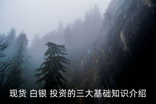 投資白銀,白銀投資入門與技巧