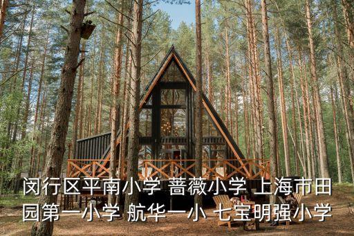 閔行區平南小學 薔薇小學 上海市田園第一小學 航華一小 七寶明強小學