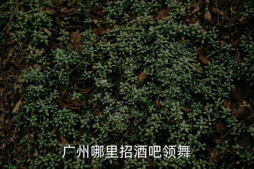 廣州哪里招酒吧領(lǐng)舞