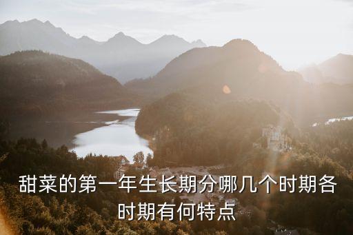  甜菜的第一年生長期分哪幾個時期各時期有何特點
