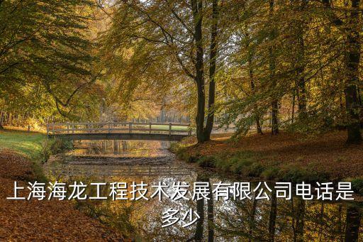 上海市海龍工程有限公司，上海長江隧橋是哪家施工單位