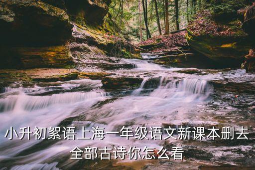 小升初絮語上海一年級語文新課本刪去全部古詩你怎么看
