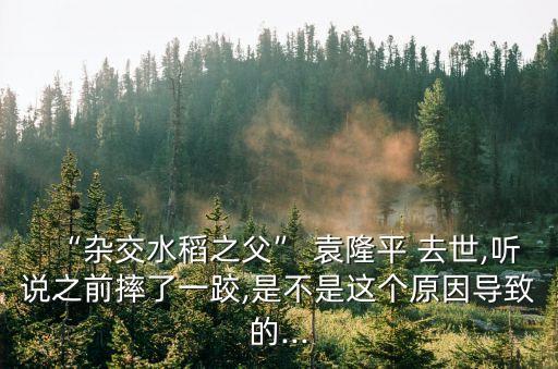 “雜交水稻之父” 袁隆平 去世,聽說之前摔了一跤,是不是這個原因導致的...