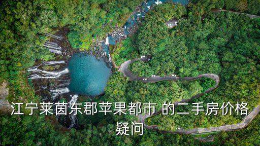 江寧萊茵東郡蘋果都市 的二手房價格疑問