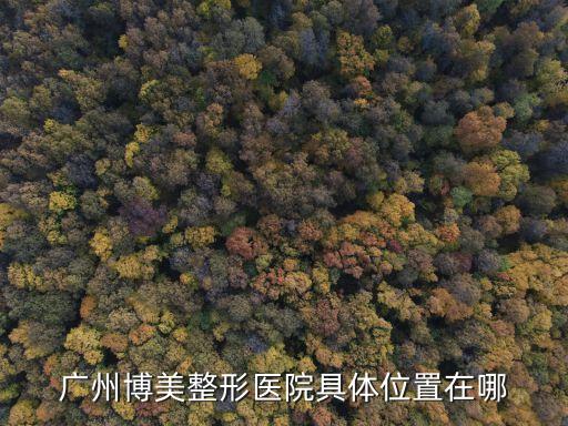 廣州隆鼻 推薦博美，廣州博美整形醫院整形效果怎么樣啊我朋友打算去哪做鼻子整形