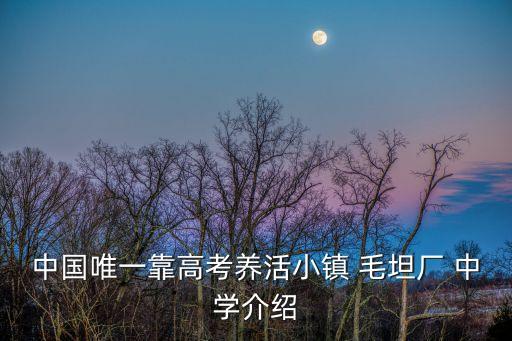 中國(guó)唯一靠高考養(yǎng)活小鎮(zhèn) 毛坦廠 中學(xué)介紹